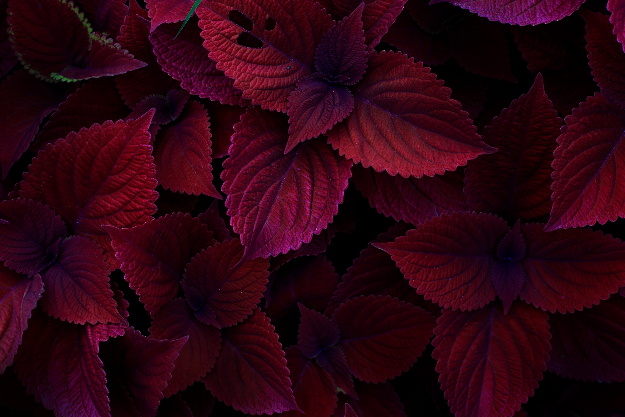 Công Ty TNHH Truyền Thông Hmedia